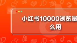 Сt(sh)10000g[ʲô